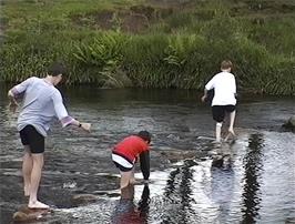 Stepping Stones at Dunnabridge